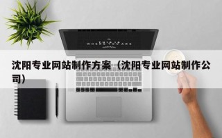 滦南沈阳专业网站制作方案（沈阳专业网站制作公司）